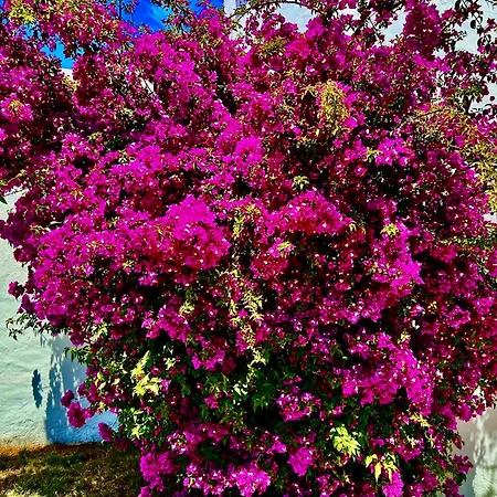 Solar Do Monte 3 Albufeira