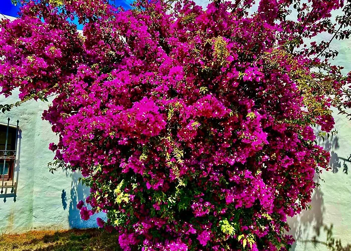 Solar Do Monte 3 Albufeira